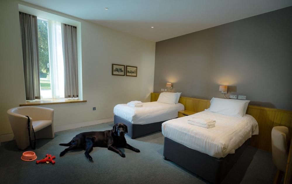 Northgate House Hotell Buckfastleigh Eksteriør bilde